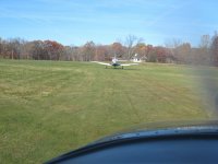 2J-and-Radu-Grass-Hoppingr 03.jpg