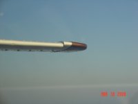 DSC02459.JPG
