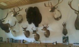 From Cell 11-09-09 072.jpg
