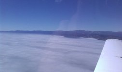 On Top LA.jpg