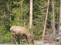 IMG_3491.JPG