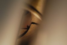 DSC_0232.JPG