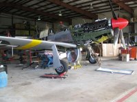IMG_0266_2.JPG