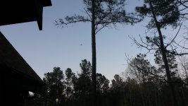 20160414_193827.jpg