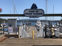 IMG_7410.JPG