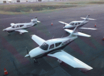 photo8791.gif