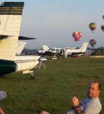 Pigs flying.JPG