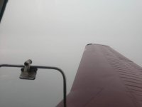 IMG_20200920_165948850.jpg