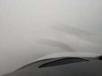 IMG_20200920_165952462.jpg