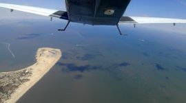 tail hook shot 2.jpg
