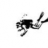 sddiver