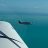 Island_Pilot